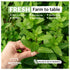 Eastanbul Dried Mint Leaves 2.1oz,%100 Natural Dried Peppermint Leaves Freshly Picked Mint Tea Loose Leaf, Crushed Mint Leaves, Spearmint Leaf, Pe...